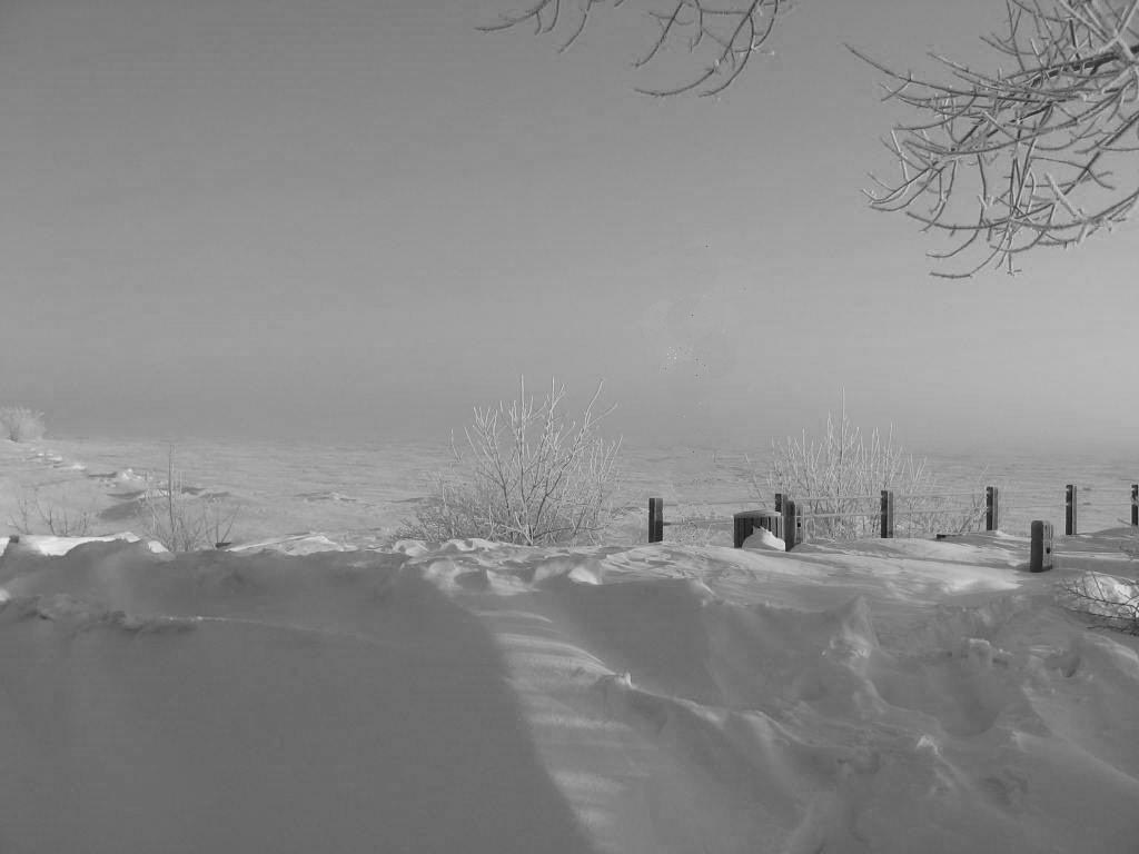 View across Cold Lake